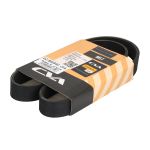 Correa poly V CVA 02/802540 CVA