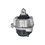Suporte, motor DELPHI TEM255