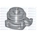 Pompa del refrigerante DOLZ P303