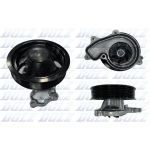 Pompa del refrigerante DOLZ H266
