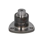 Pivot de fusée S-TR 15A305