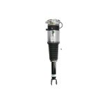 Suporte, suspensão pneumática ARNOTT EUROPE AS-3031