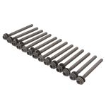 Bultsats för cylinderhuvud REINZ 14-21242-01
