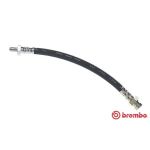 Tubo flessibile del freno BREMBO T 54 051