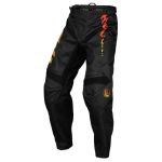 Calças de motocross FLY RACING FLY 377-23124