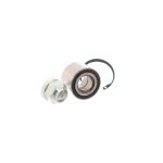 Conjunto de rolamentos de roda SKF VKBA 7573