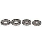 Set versnellingsbaklagers NSK NSK GEARBOX KIT K112