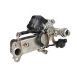 EGR module MAHLE CE 10 000P