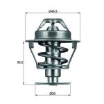 Termóstato, líquido de refrigeração MAHLE TX 81 89D