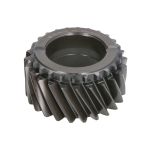 Piñón de la caja de cambios C.E.I 244682