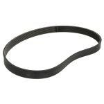 Cinghia Poly-V GATES 0284216-GAT