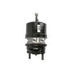 Cilindro freno combinato WABCO 9254644500