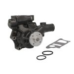 Pompe à eau FP DIESEL 3800883-FP
