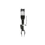 Suporte, suspensão pneumática ARNOTT EUROPE AS-3154 esquerdo