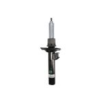 Amortecedor de choque ARNOTT EUROPE MR-3855
