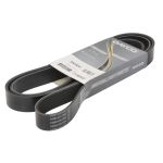 Cinghia Poly-V DAYCO 8PK1952HD