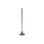 Válvula de admisión FP DIESEL 3685996-FP