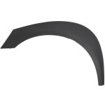 Aile - moulure / protection BLIC 5703-04-8103471P