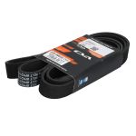 Correa poly V CVA 320/08606 CVA