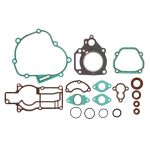 Motordichtungssatz PARSUN F4-09000100