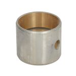 Casquilho da cabeça da manivela FP DIESEL R42173-FP