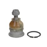 Junta de suporte FAG 825 0038 10