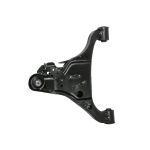 Braço de controlo, suspensão da roda DELPHI TC4560