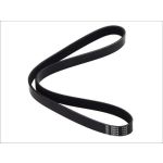 Rippenriemen DT SPARE PARTS 6.31532
