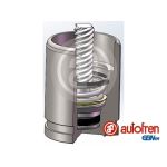 Zuiger, remklauwcilinder AUTOFREN SEINSA D025742K