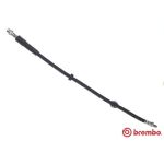 Latiguillo de freno BREMBO T 06 053