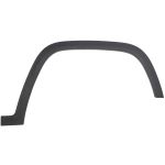 Aile - moulure / protection BLIC 5703-08-3209372P