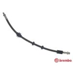 Tubo flessibile del freno BREMBO T 23 208