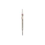 Vela de incandescência DENSO DG-607