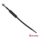 Tubo flessibile del freno BREMBO T 23 177