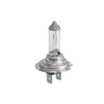 Glühlampe, Tagfahrleuchte PHILIPS 12643LLC1, 1 Stück