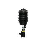 Suporte, suspensão pneumática ARNOTT EUROPE AS-3898