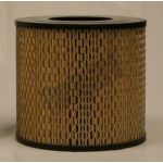 Filtro de ar FLEETGUARD AF25399