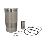 Kit di riparazione, pistone/canna del cilindro MAHLE 001 AY 00195 090