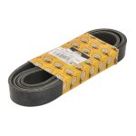 Courroie à nervures trapézoïdales ANAC MAKINA 320-08647-AN