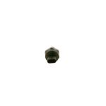 Sensor de vácuo BOSCH 0 261 230 491
