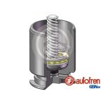 Piston, Étrier de frein AUTOFREN SEINSA D02554LK
