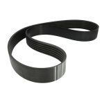 Cinghia Poly-V GATES 1499357 EE-TECH-GAT