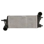 Intercooler NRF 309189