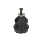 Suporte do motor DT Spare Parts 4.81298