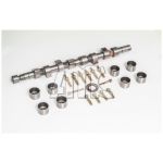 Conjunto da árvore de cames AMC 661894K
