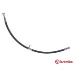 Flexible de frein BREMBO T 79 043