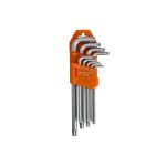 Conjunto de chaves Allen TORX PROFITOOL 0X7553S9