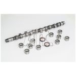 Conjunto da árvore de cames AMC 653851K