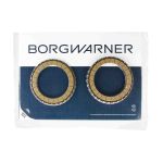 Disque de garniture, embrayage à disques (boîte automatique) BORG WARNER 203538