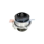 Pompe à eau AUGER 71654